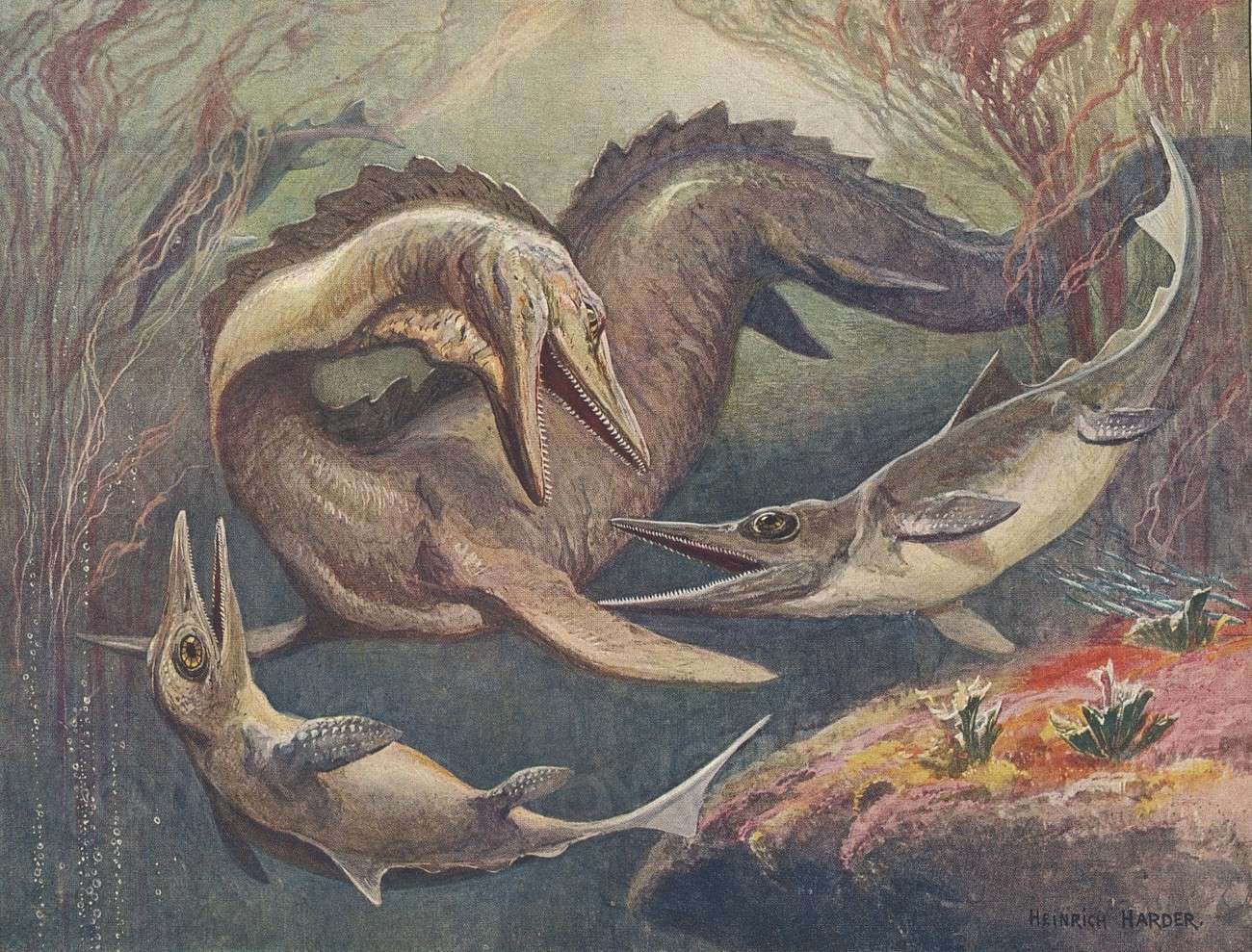 Mosasaurus and Ichthyosaurs. Illustration for Die